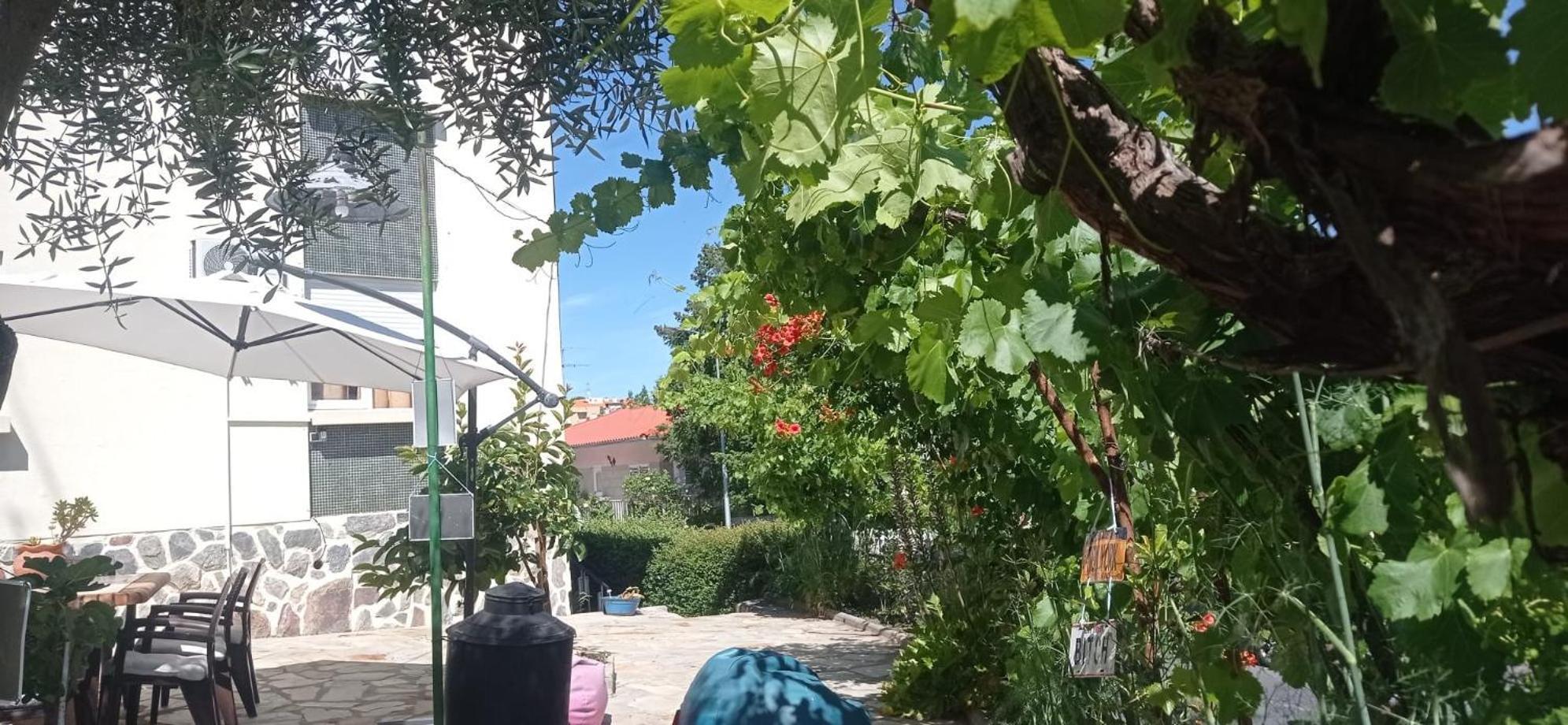 Alojamento Local Os Maias Mirandela Eksteriør bilde